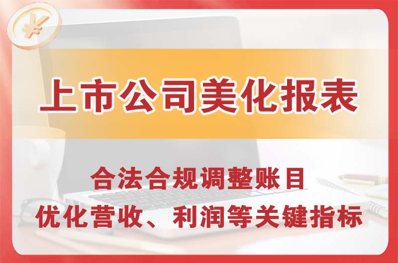广元上市公司美化报表